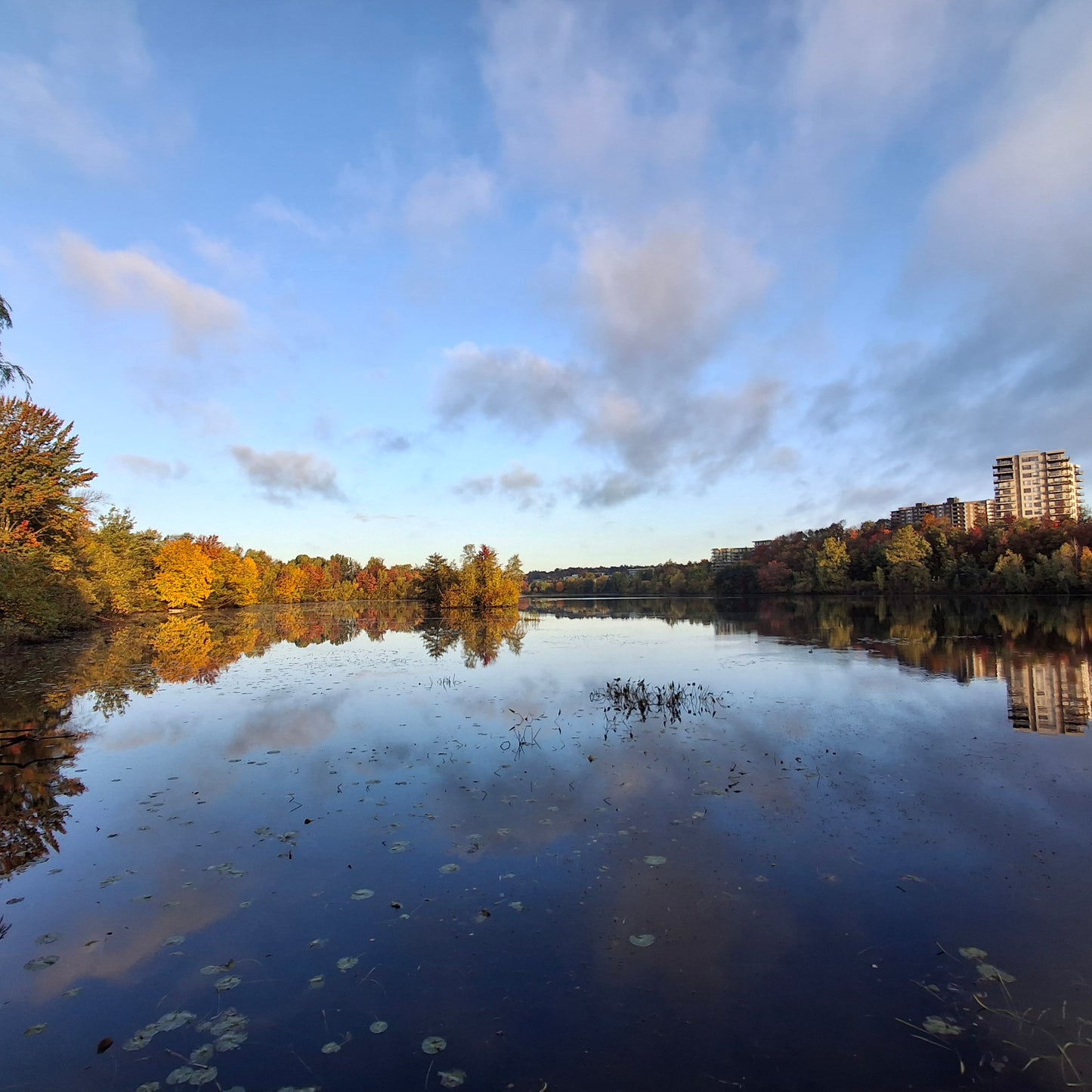 2024-10-05 07:30 Automne le matin (Vue T1)