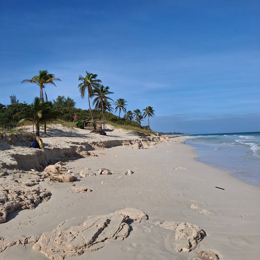 Blau Arenal Havana Beach