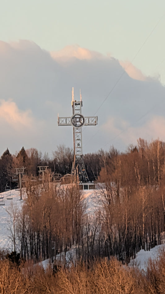 2026-03-25 (Vue Bellevue)