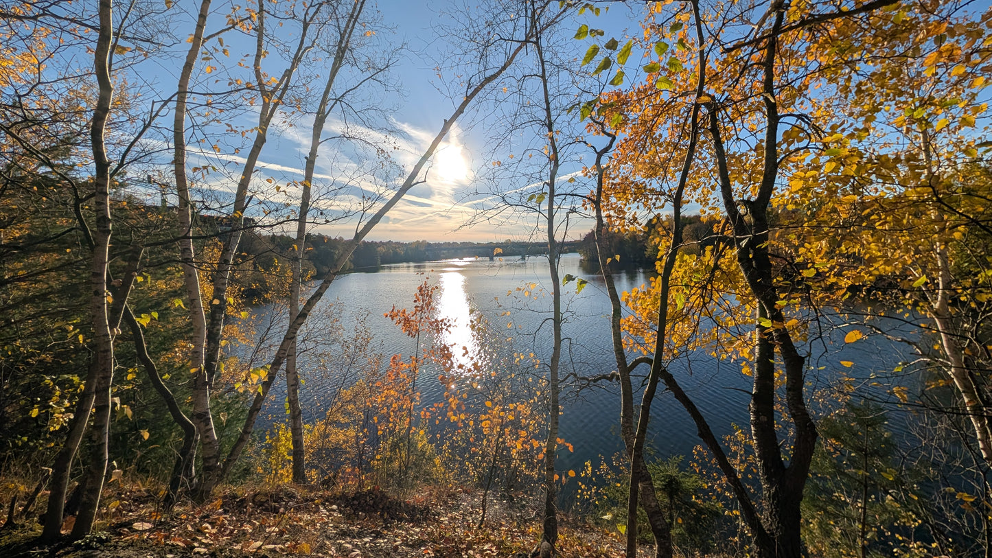 2026-10-15 16:41 (Vue 2.3)