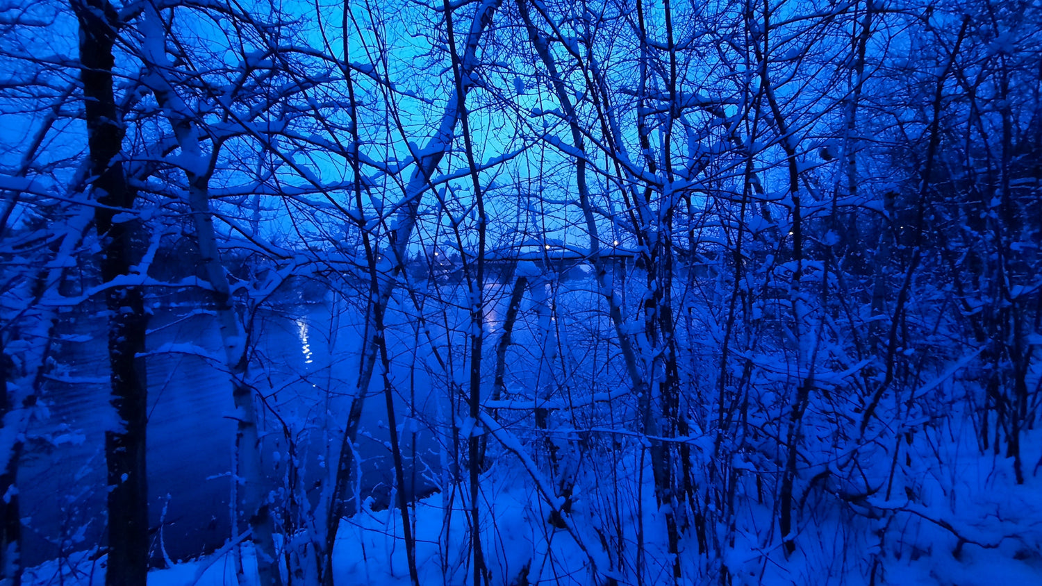 Jour De La Terre 2021 (Pont Jacques Cartier Sherbrooke 5H27) Photo Numérique