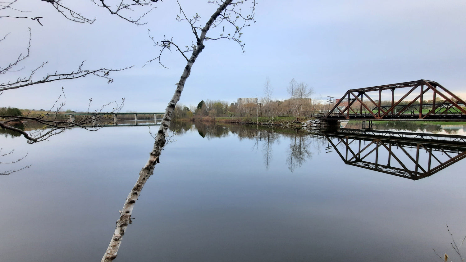 8 Mai 2021 (Vue 14)