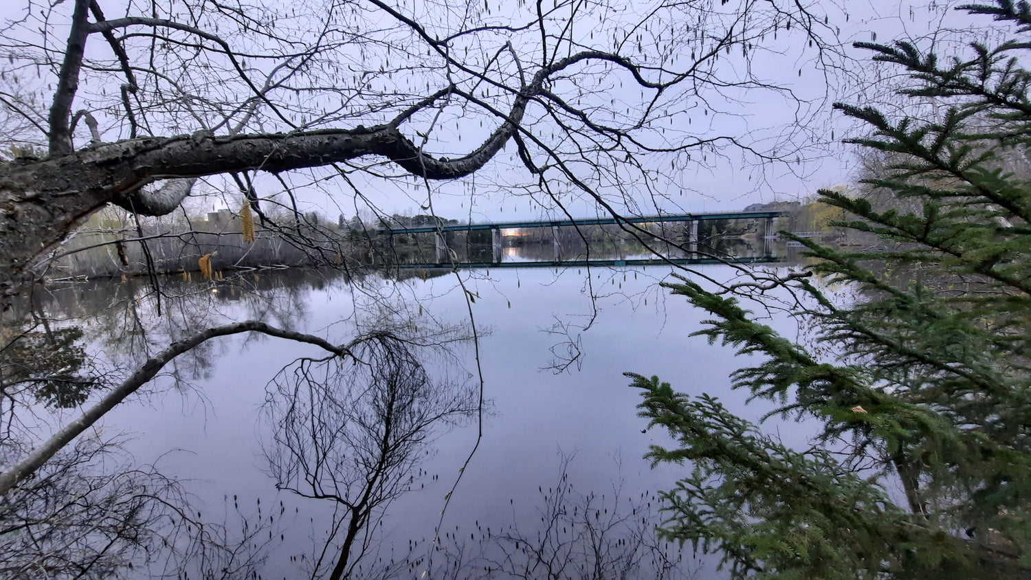 Le Pont Jacques Cartier Du 9 Mai 2021