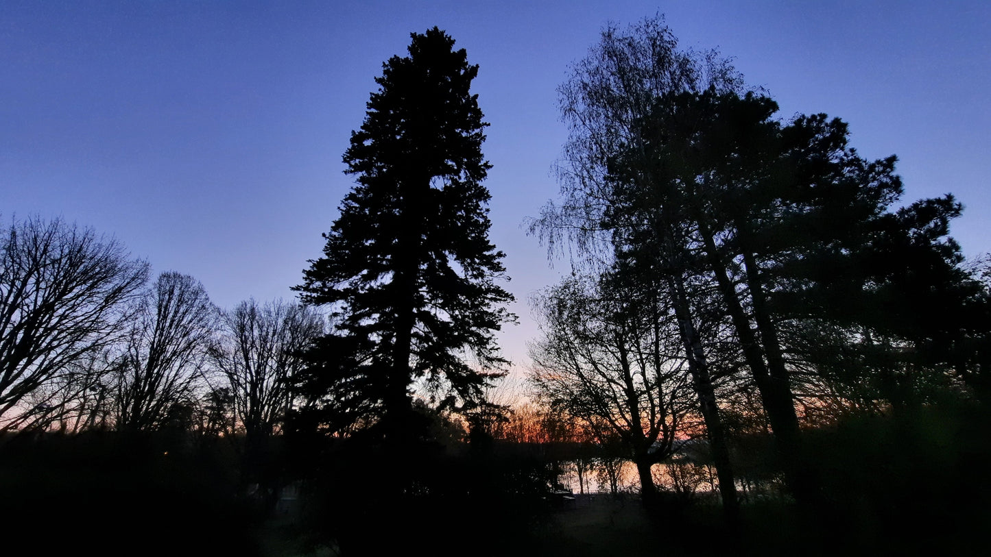 La Grandeur Au Lac Des Nations De Sherbrooke