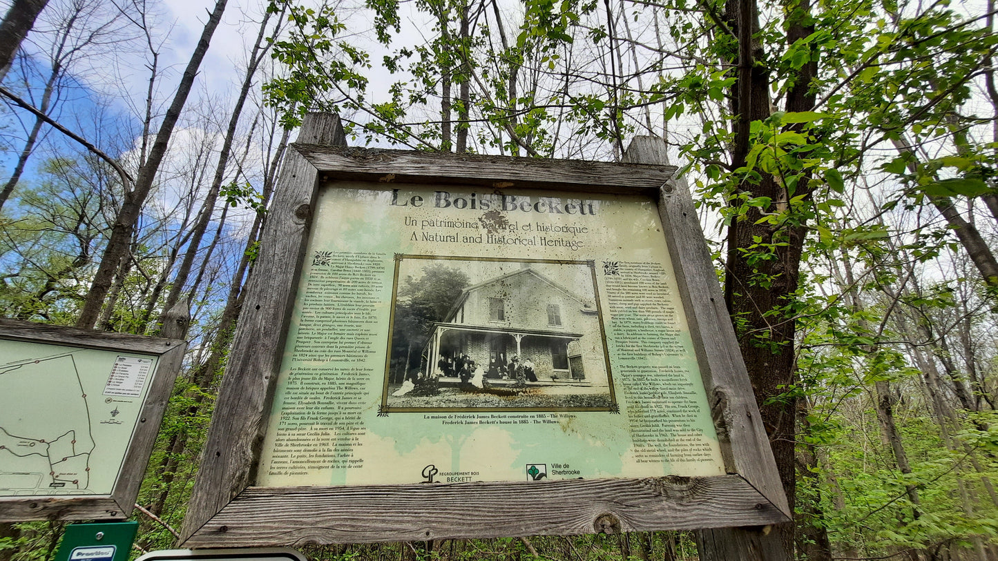 Le Parc Du Bois Beckett