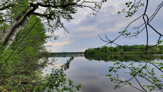 Crépuscule Du 21 Mai 2021 (Vue 0)