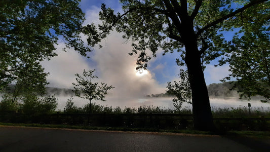 Le Soleil Et La Brume Du 24 Mai 2021 (Vue Bp2) Bleu