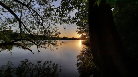 Le Soleil Du Lac Des Nations 25 Mai 2021 (Vue Sm110)