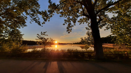 Soleil Du 29 Mai 2021 (Vue Bp2)