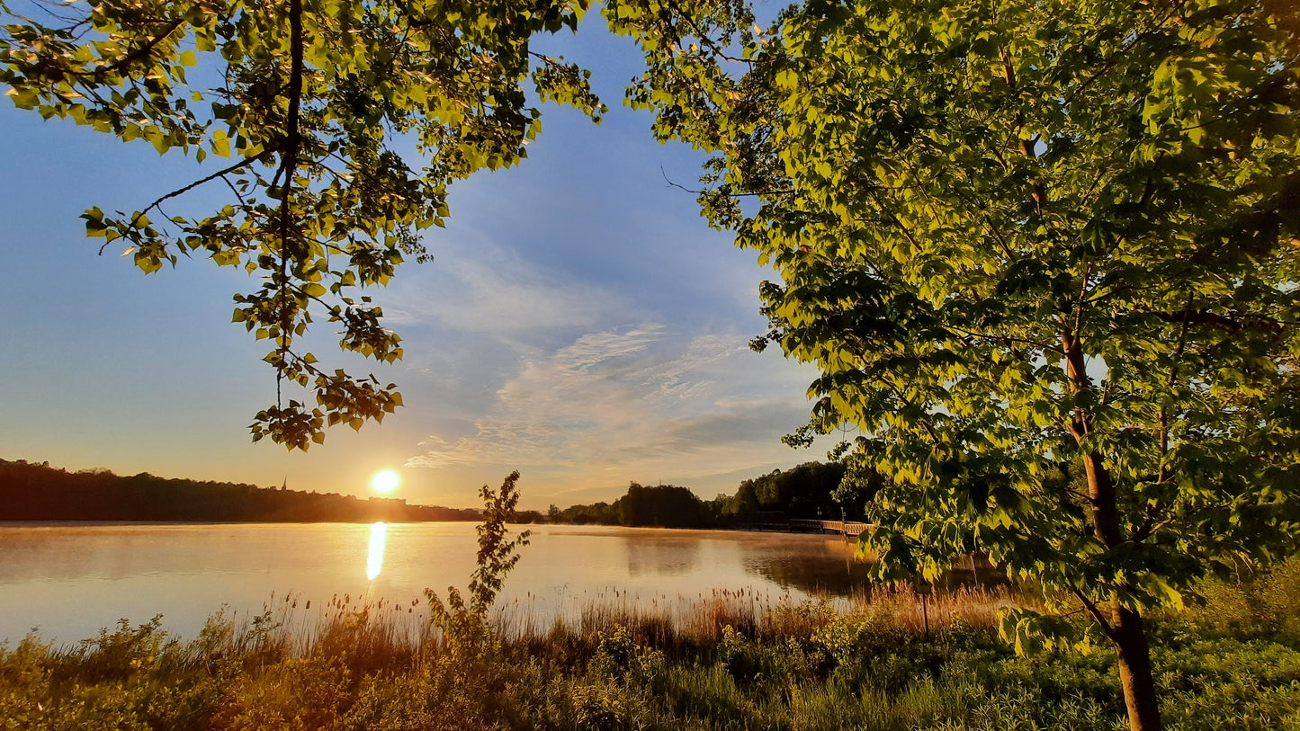 Soleil Du 29 Mai 2021 (Vue Nouvelle)