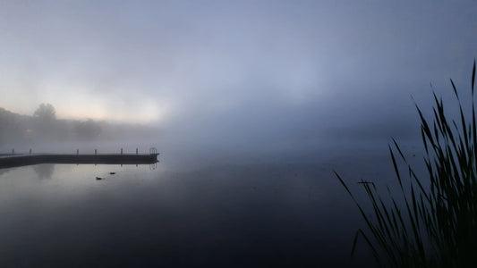 Trouve Les Canards Dans La Brume À L’aube Au Lac Des Nations De Sherbrooke 23 Juillet 2021 (Vue