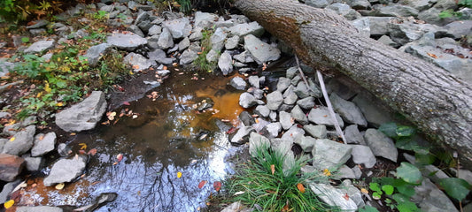 Déversement Suspect À Sherbrooke Le 10 Octobre 2021 7H33