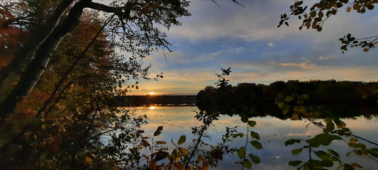 Coucher De Soleil Du 11 Octobre 2021 17H52 (Vue 0)