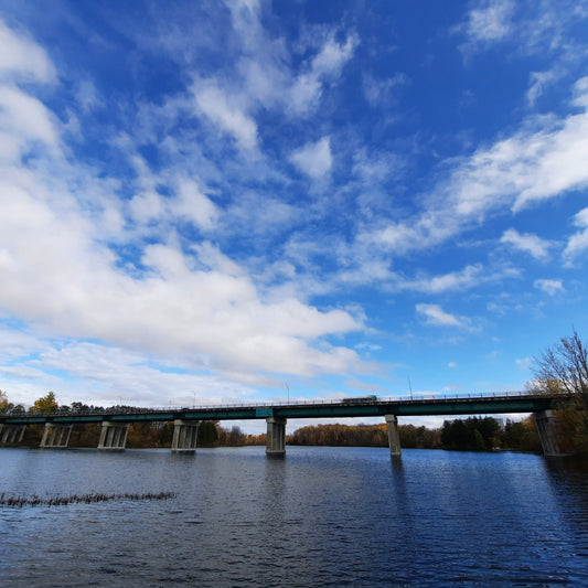 Après La Pluie Du 30 Octobre 2021... Le Beau Temps À 12H56 (Vue T1)