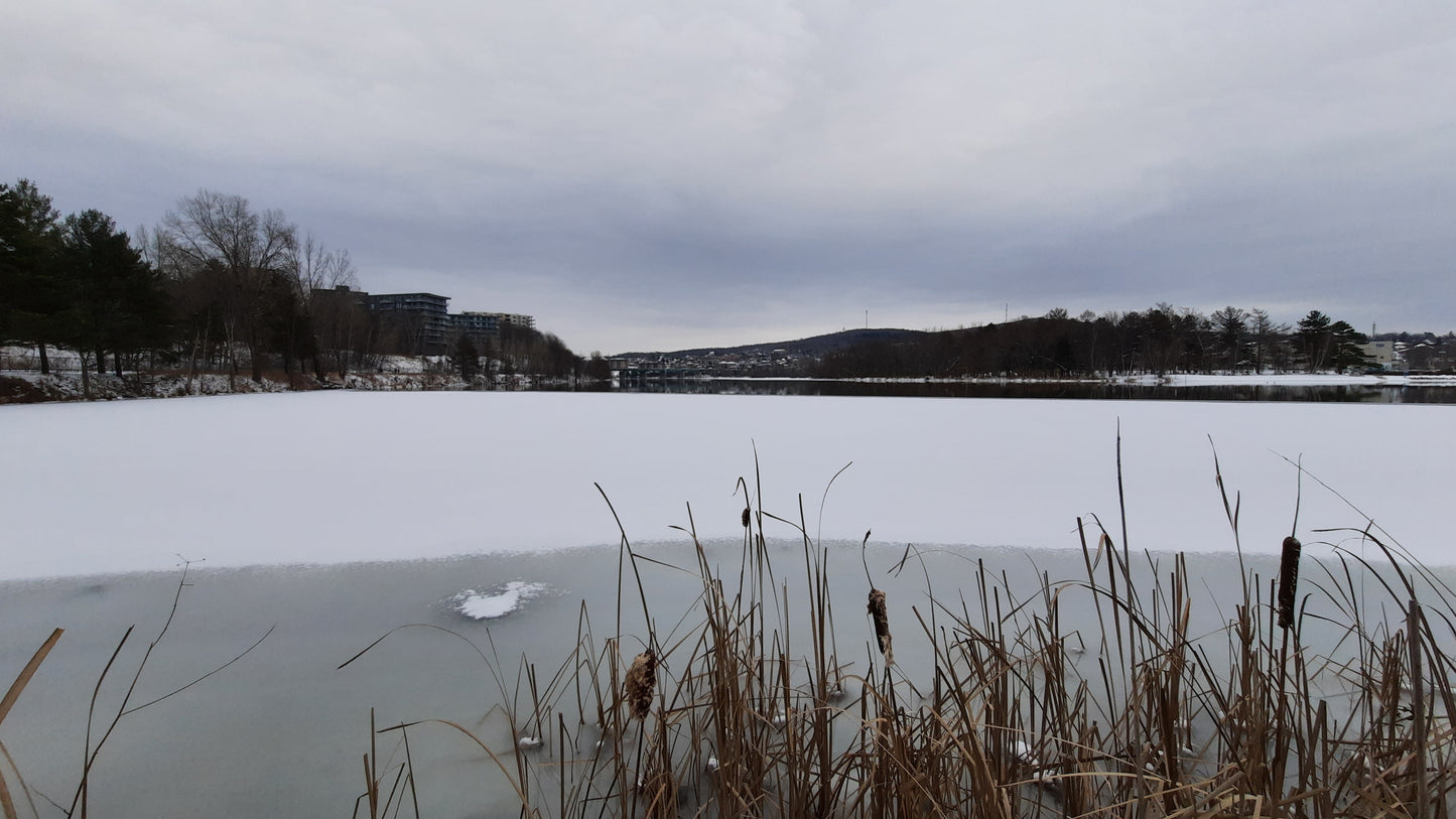 Neige Sur La Rivière Magog 22 Décembre 2021 (Vue Bp10)