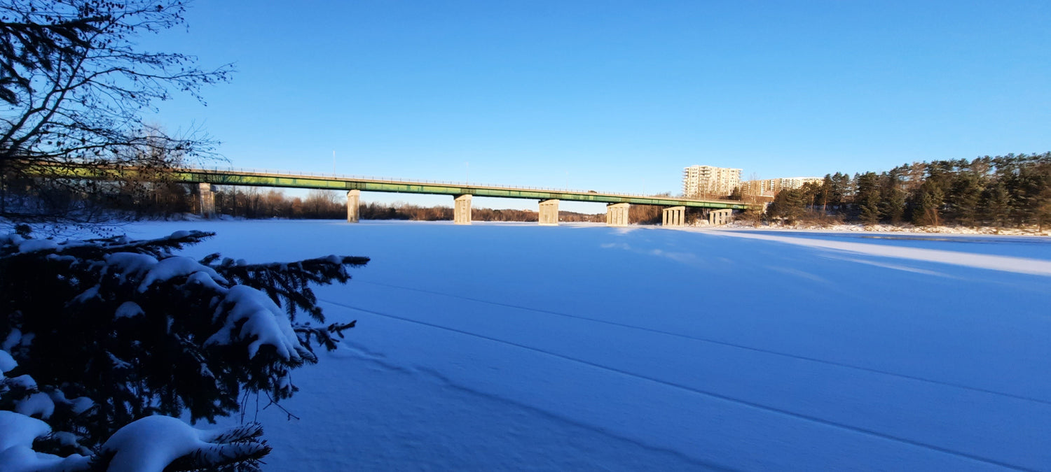 Le Pont Jacques Cartier (Vue P1)