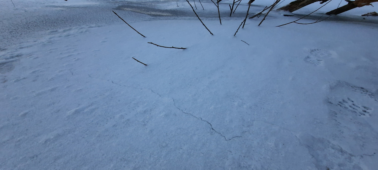 Trouve La Fissure Dans Glace