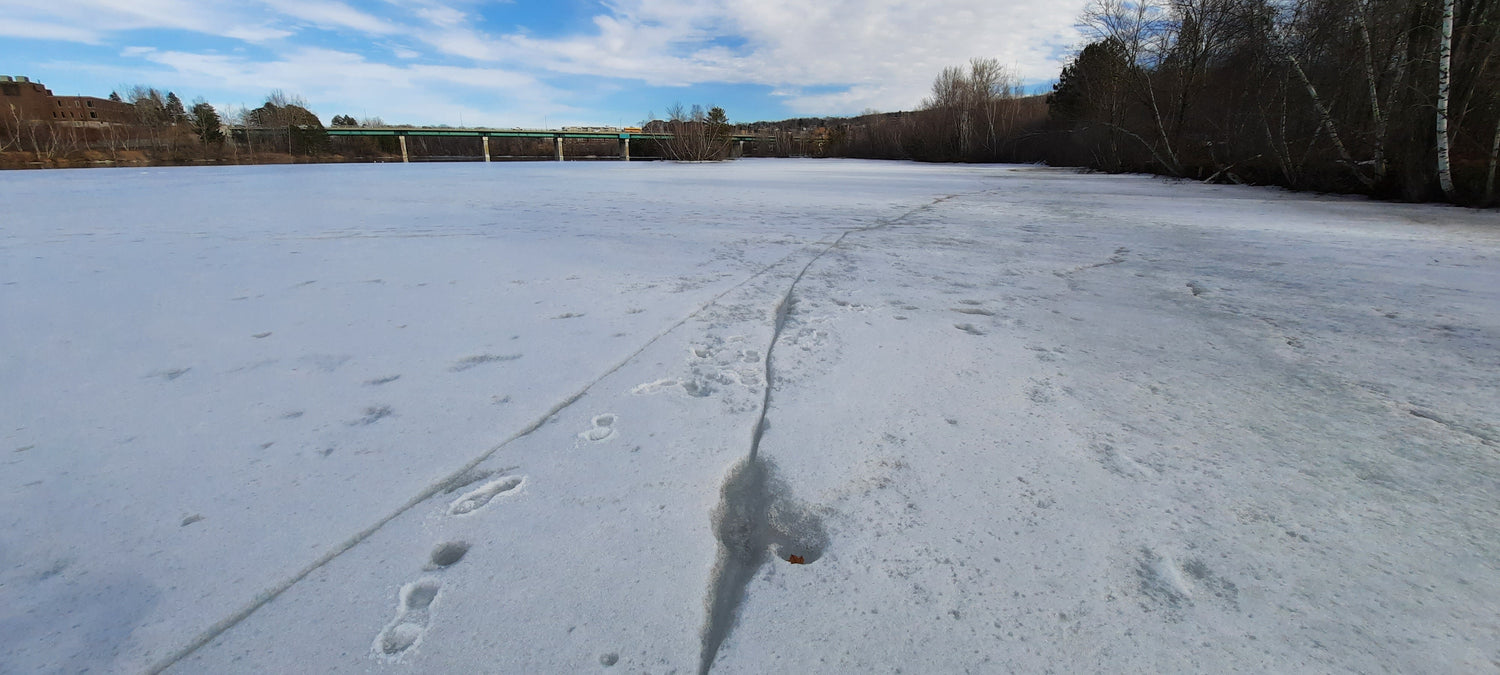 Trouve Le Lac Dans La Rivière Magog