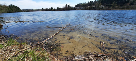 Plage Des Sables Sur La Rivière Magog À Sherbrooke