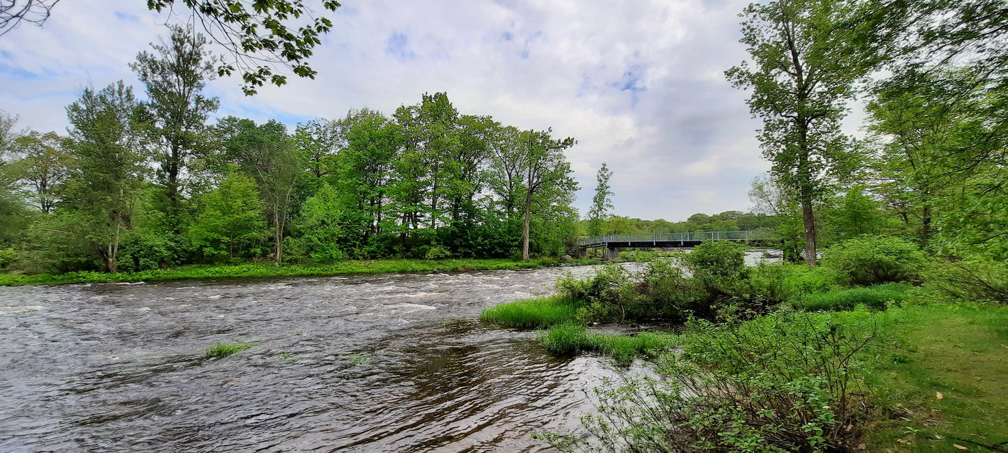 2022-05-22 Visite De Drummondville (Dmv)