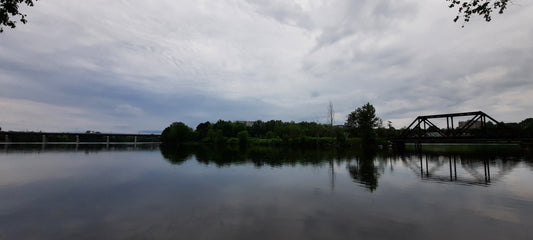 2022-07-05 (Vue 1) La Reflexion