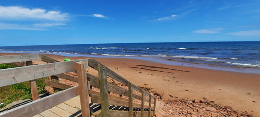 Plage Près Du Camping Stanhope