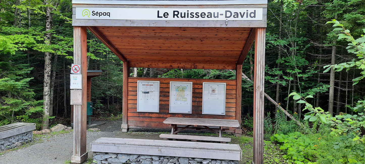 Ruisseau-David (Mont Chauve)