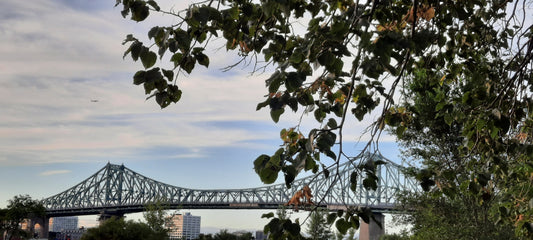 Pont Jacques-Cartier De Montreal