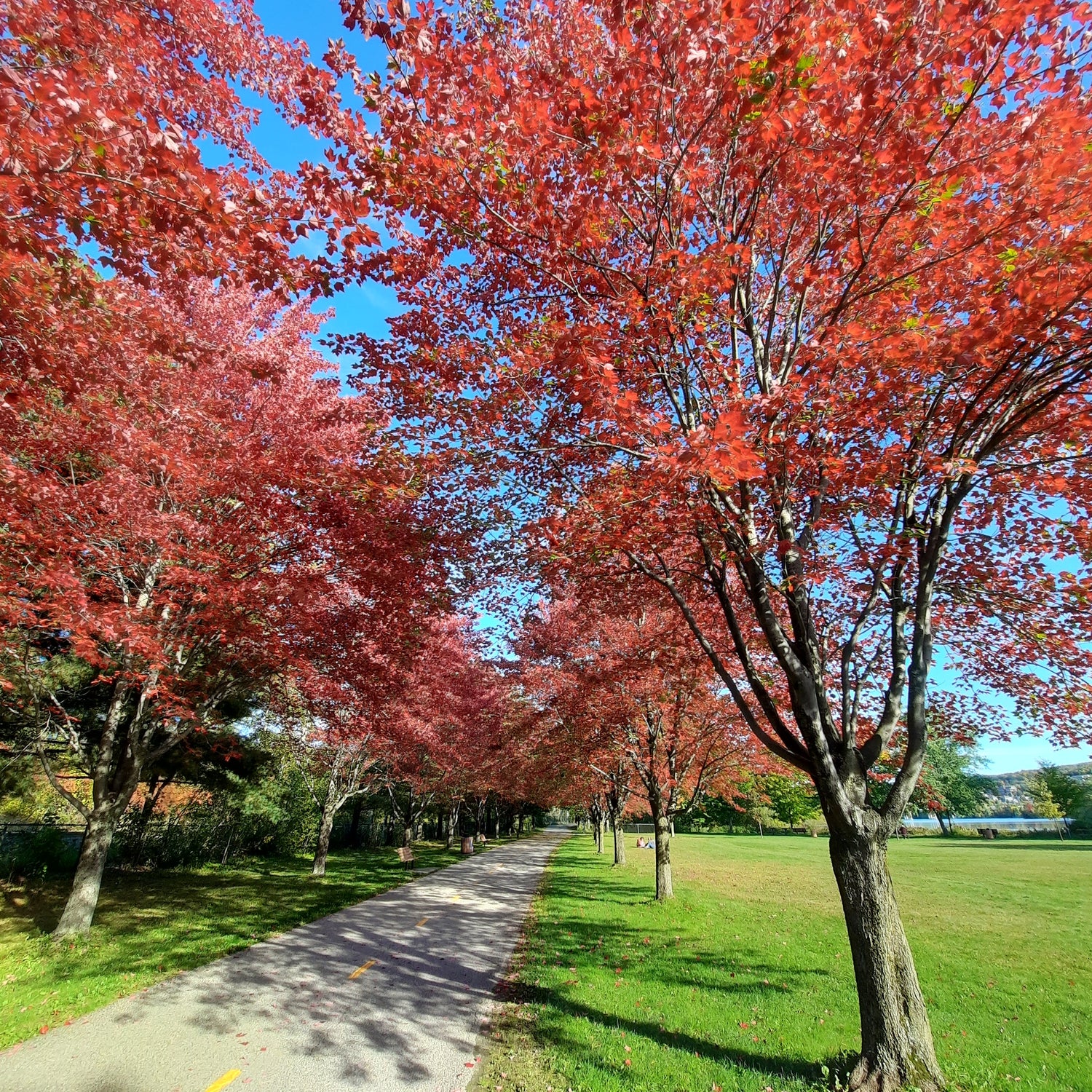 2022-10-02 Parc Des 4 Pins