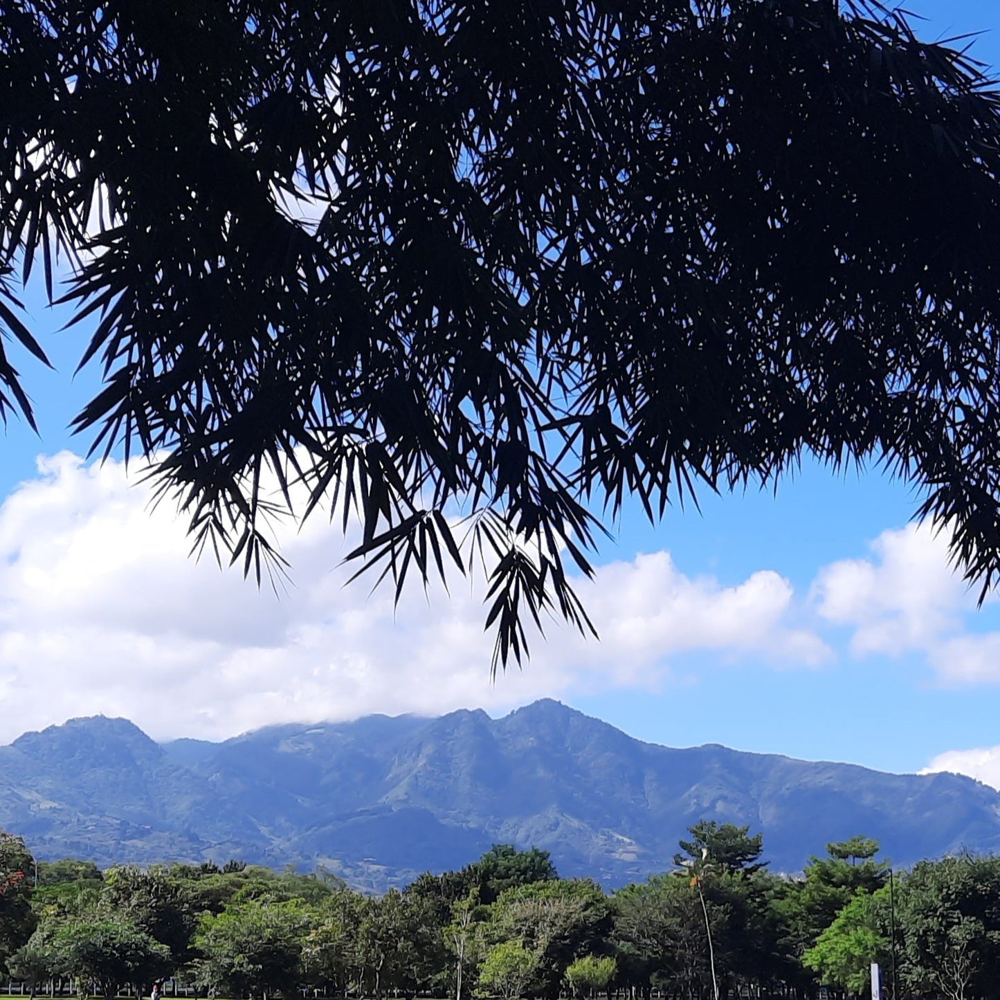 Montagnes Du Costa Rica