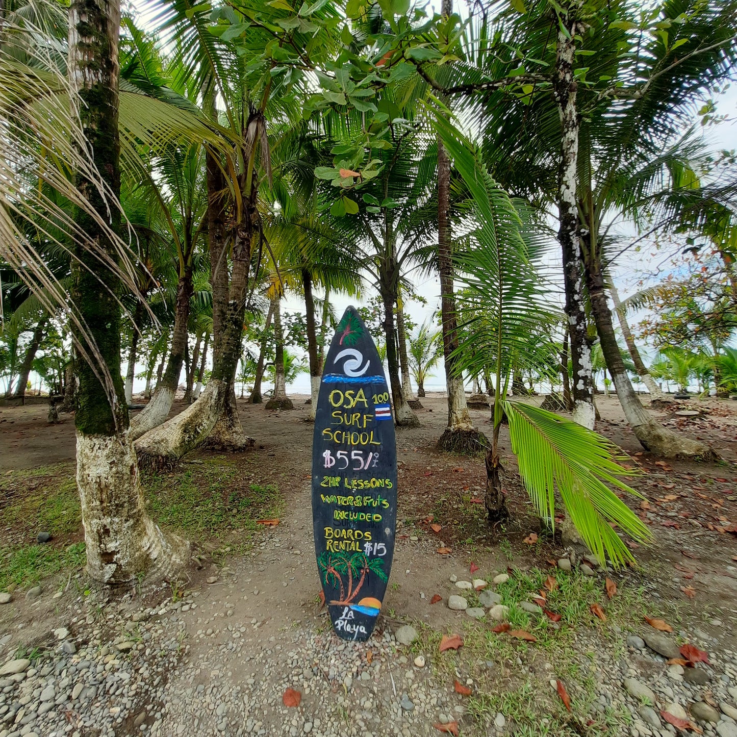 Osa Surf School