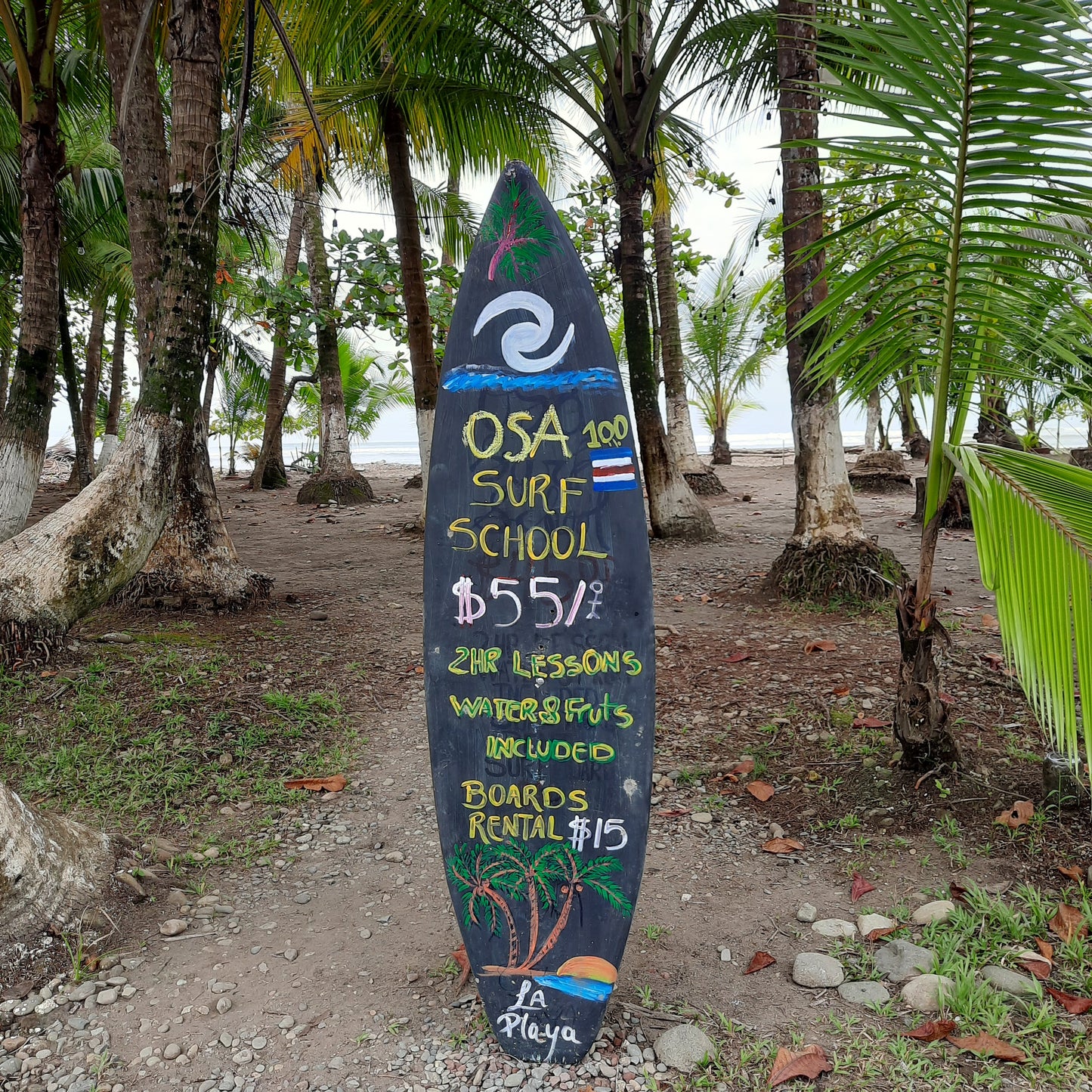 Osa Surf School