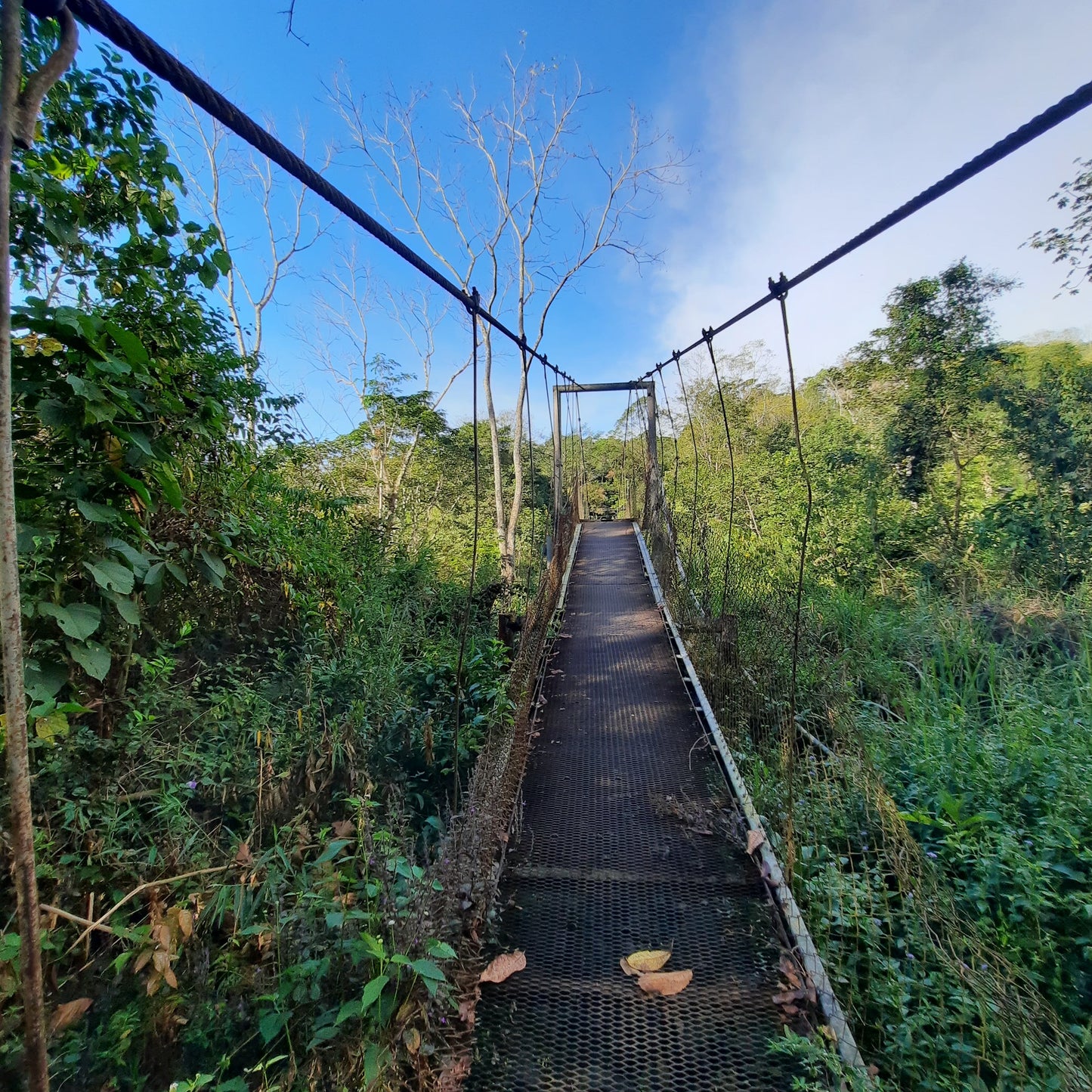 Découvrez Rivas Au Costa Rica Avec Un Guide