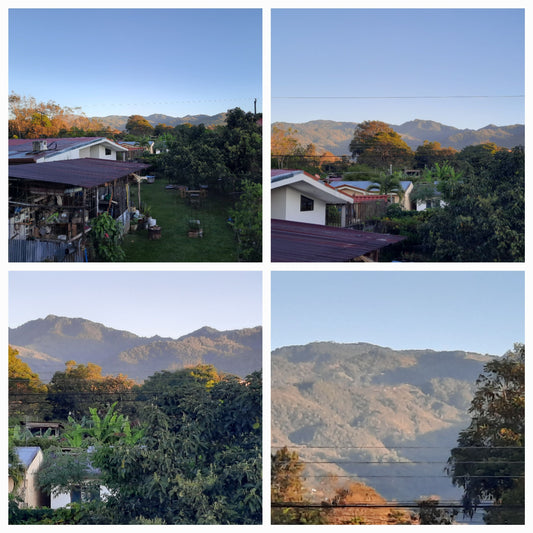 Vue De Ma Chambre A San Isidro