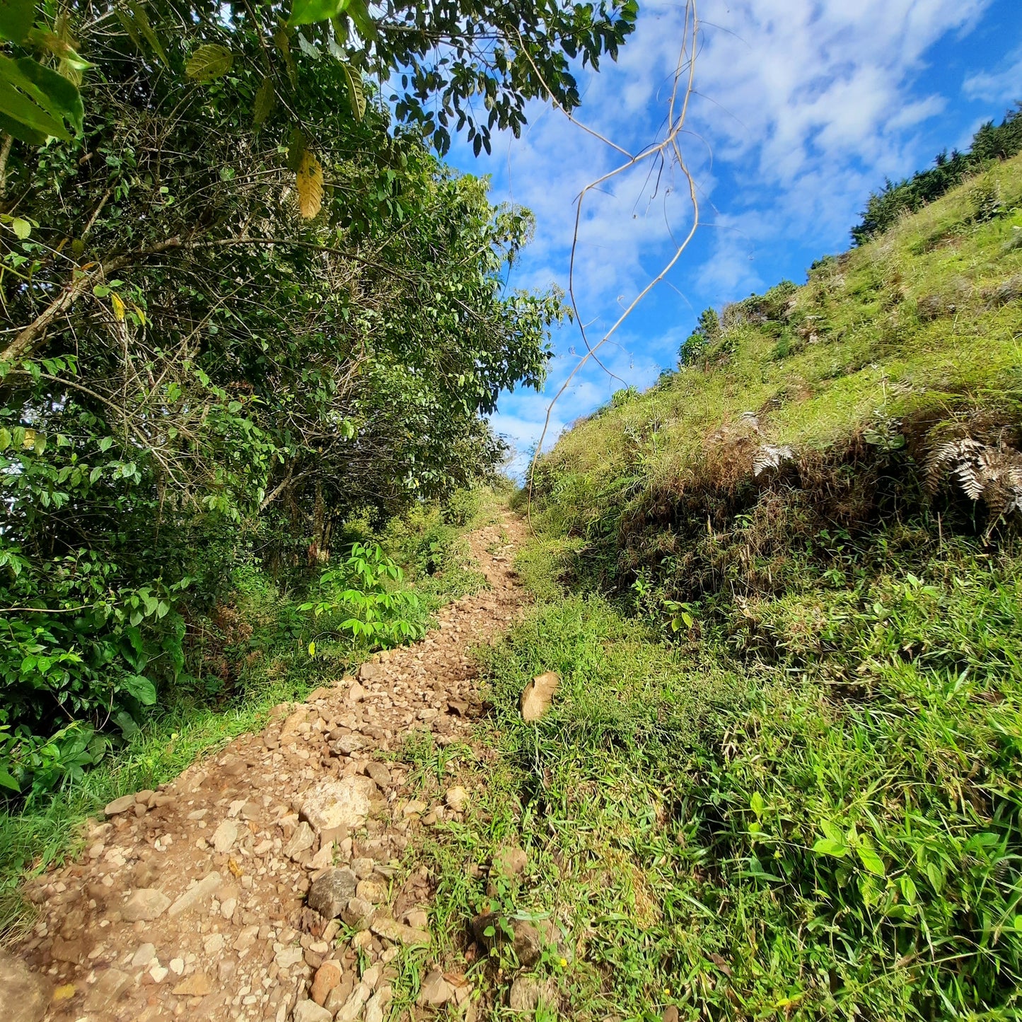 Croix Pueblo Nuevo (Le Sentier Des Vaches)