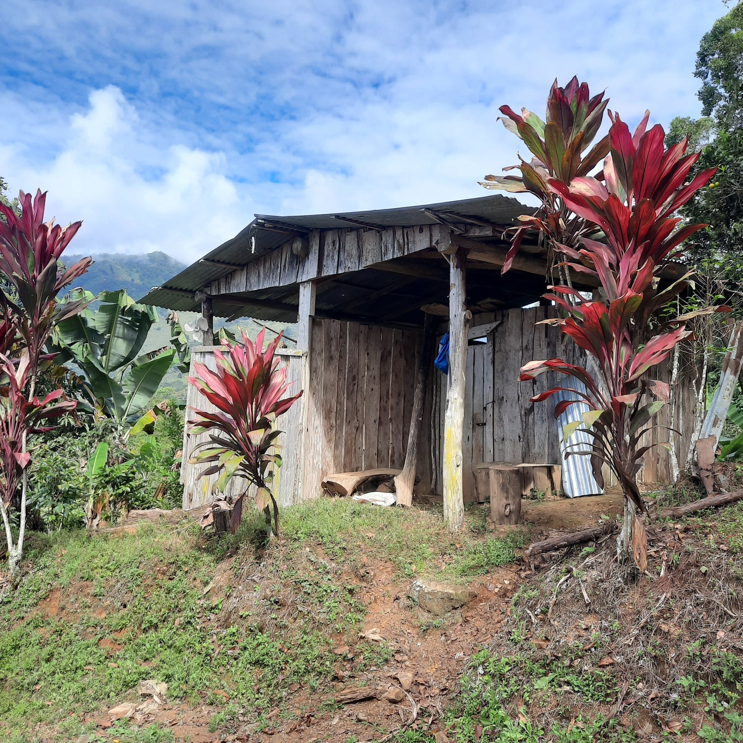 Croix Pueblo Nuevo (Le Sentier Des Vaches)