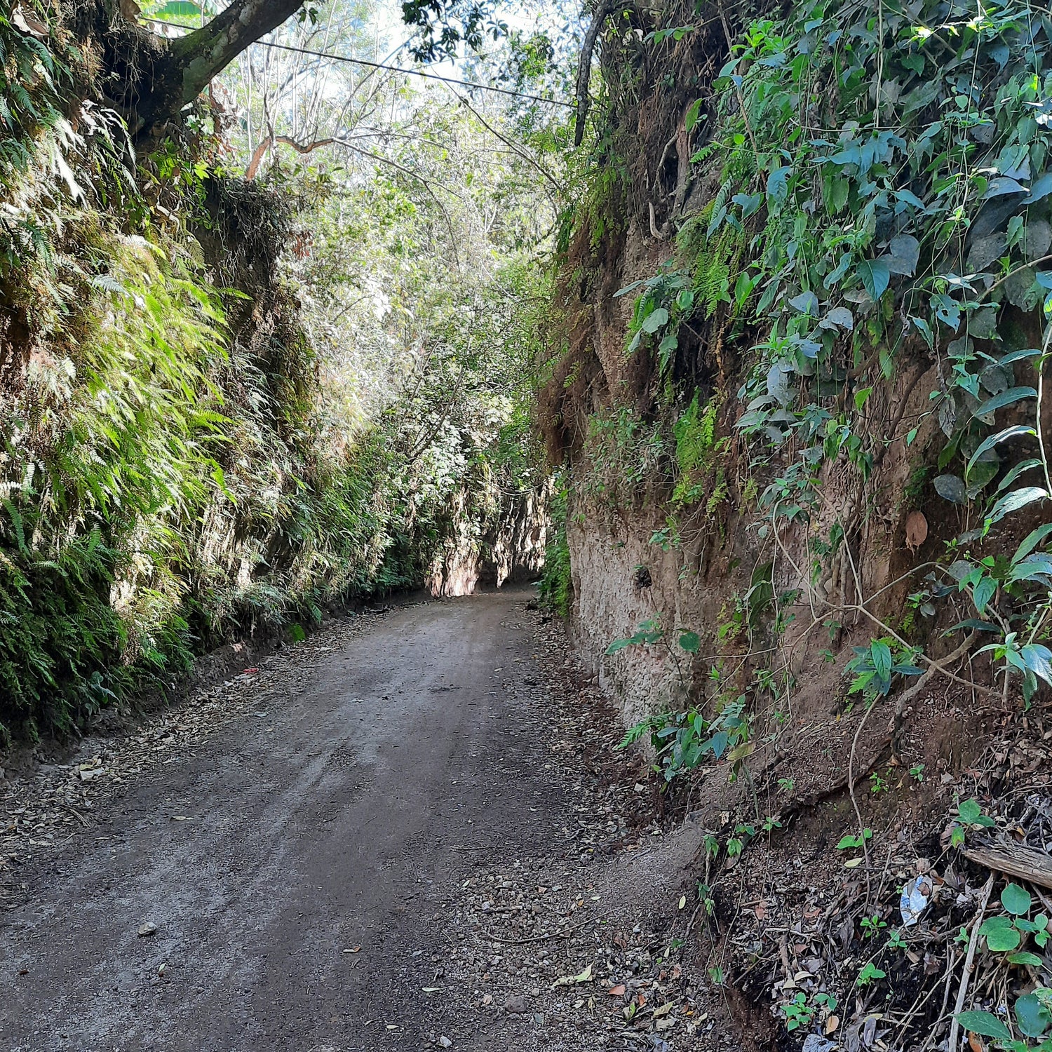 Le Chemin Tranquille