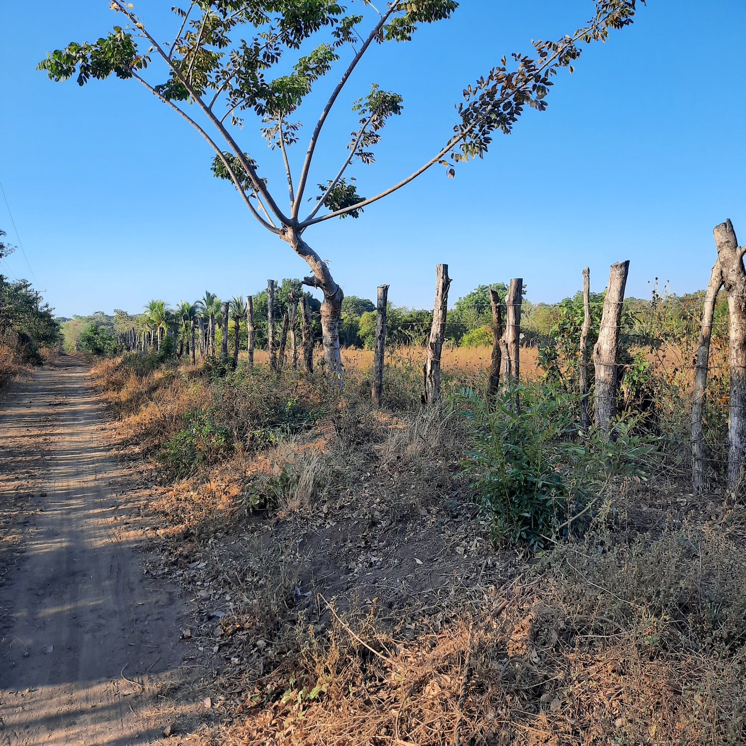 Le Chemin Paisible