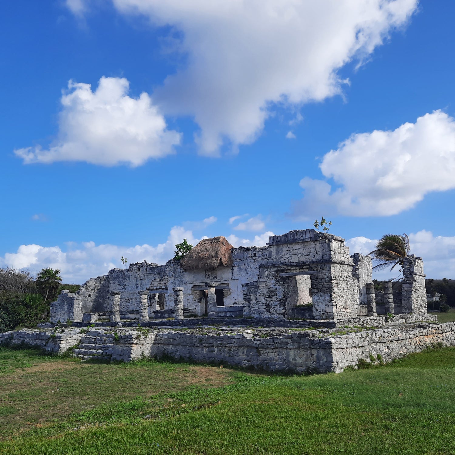 Je Me Déplace Vers Tulum