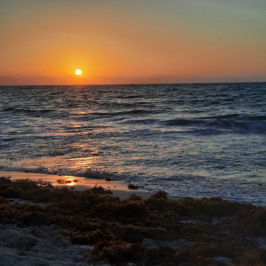 2023-04-04 Lever De Soleil (Playa Del Carmen)