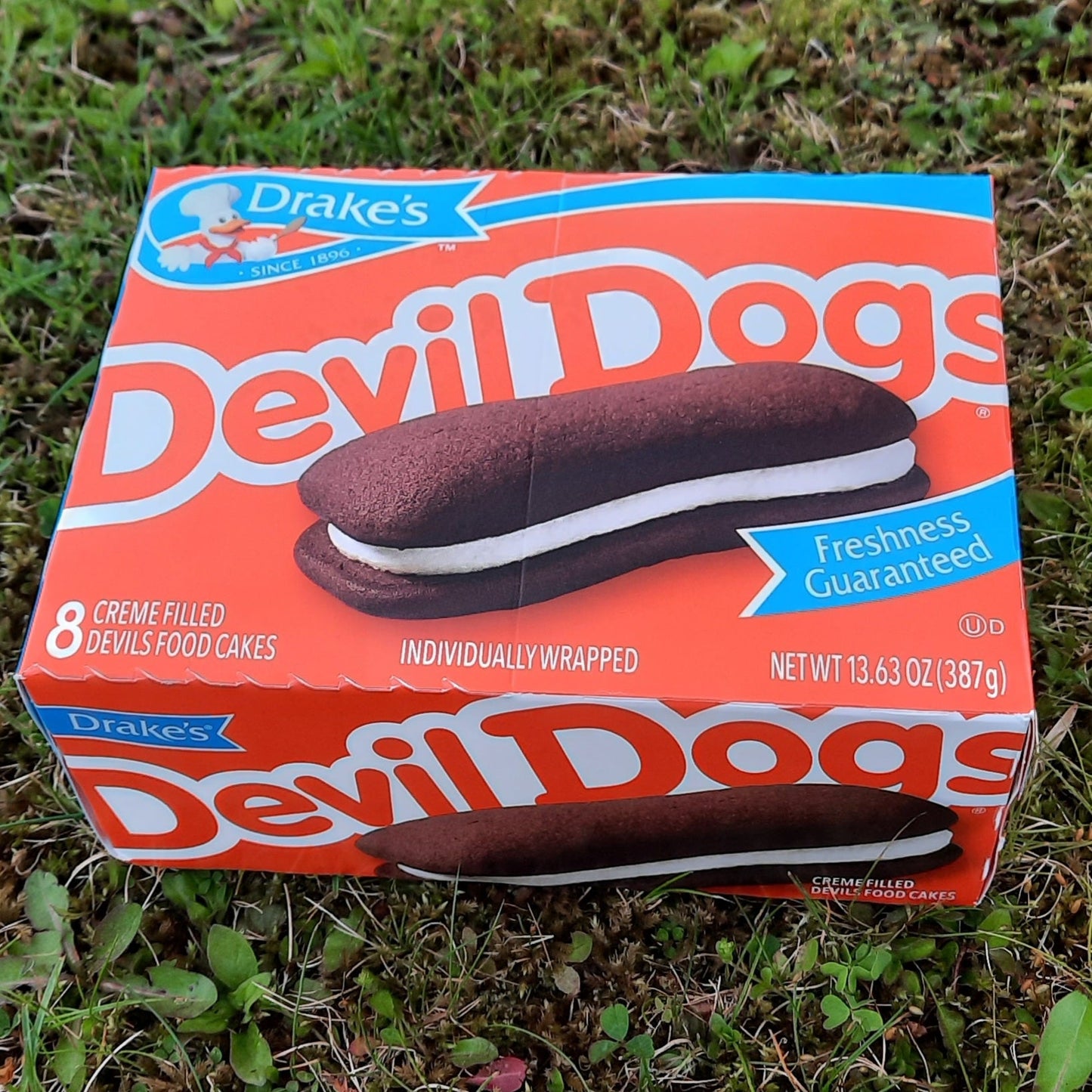 Devil Dogs