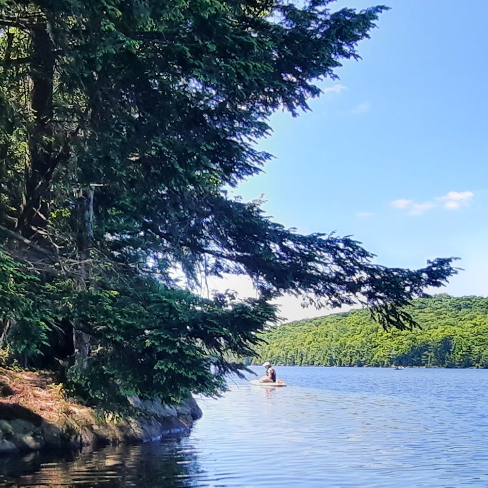 Paddle Board