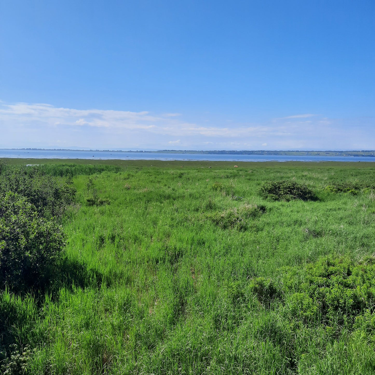 Parc Côtier Kiskotuk