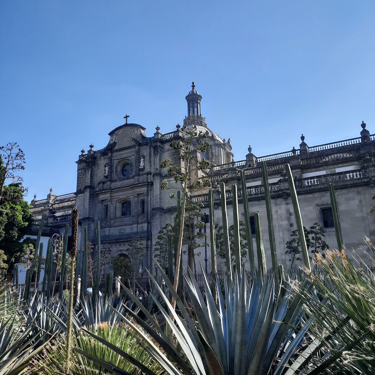 Cathédrale Métropolitaine De Mexico (6 Photos)