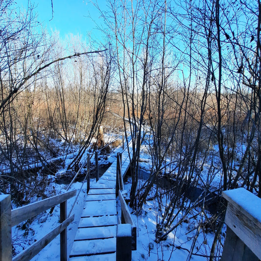 Parc Du Barrage