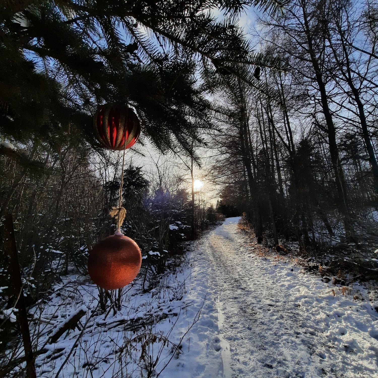 Sentier De La Rivière