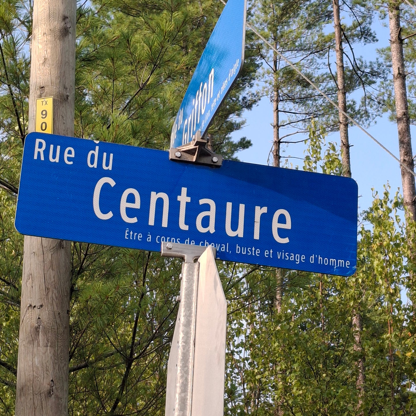 Rue du Centaure