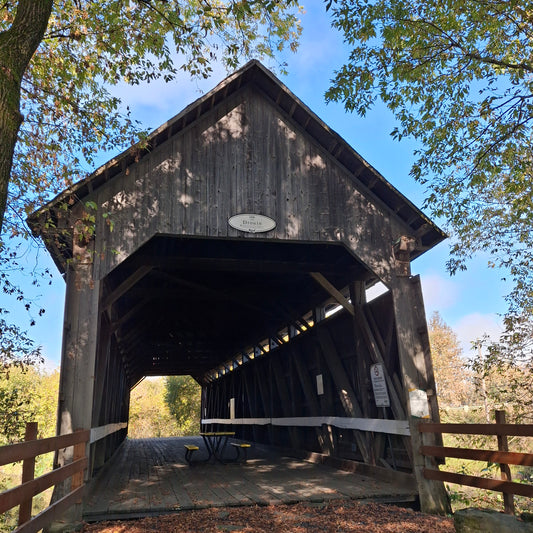 Drouin Bridge 1886 (Covered Bridge)