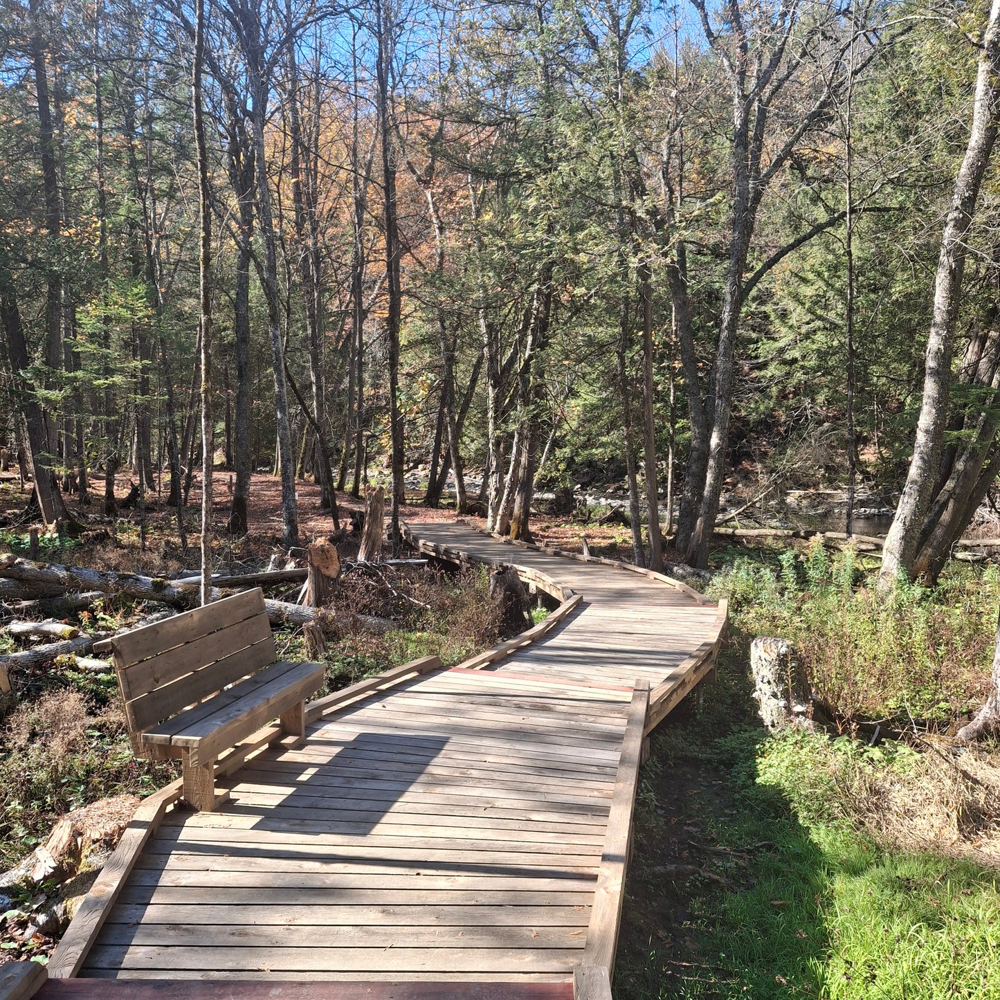 Burroughs Falls Park