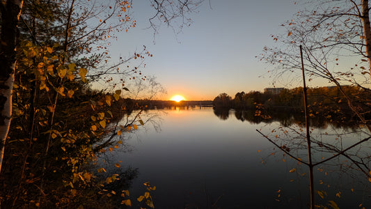 2026-10-21 17:40 (Vue 2)